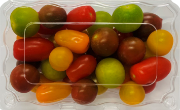 彩色番茄500g/盒