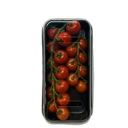 番茄方舟彩色番茄ark Tomato